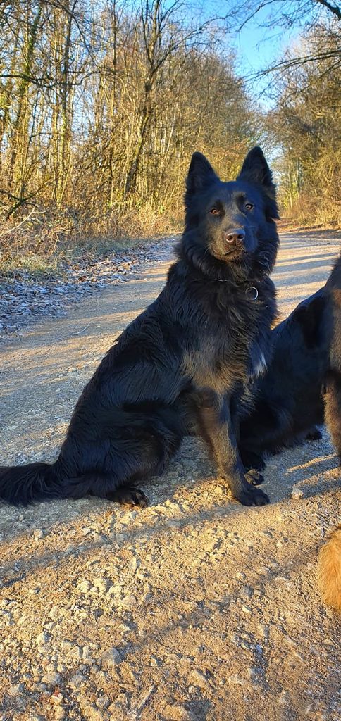 Pafacyl Des Abîmes Ardents