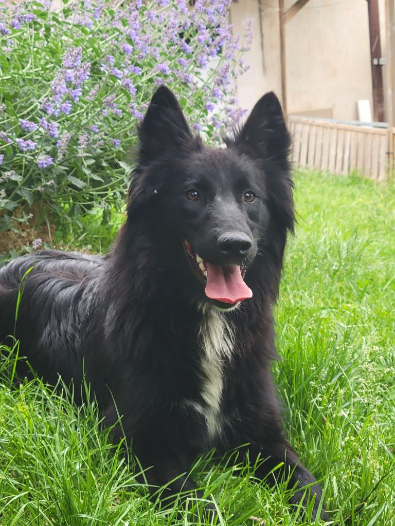Vidrayve Des Abîmes Ardents