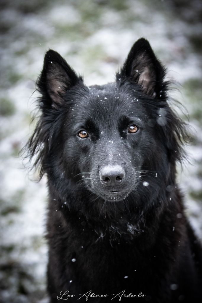 Tacrakay Des Abîmes Ardents