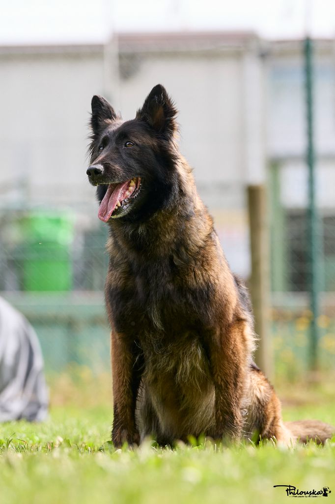 Odvy Des Abîmes Ardents