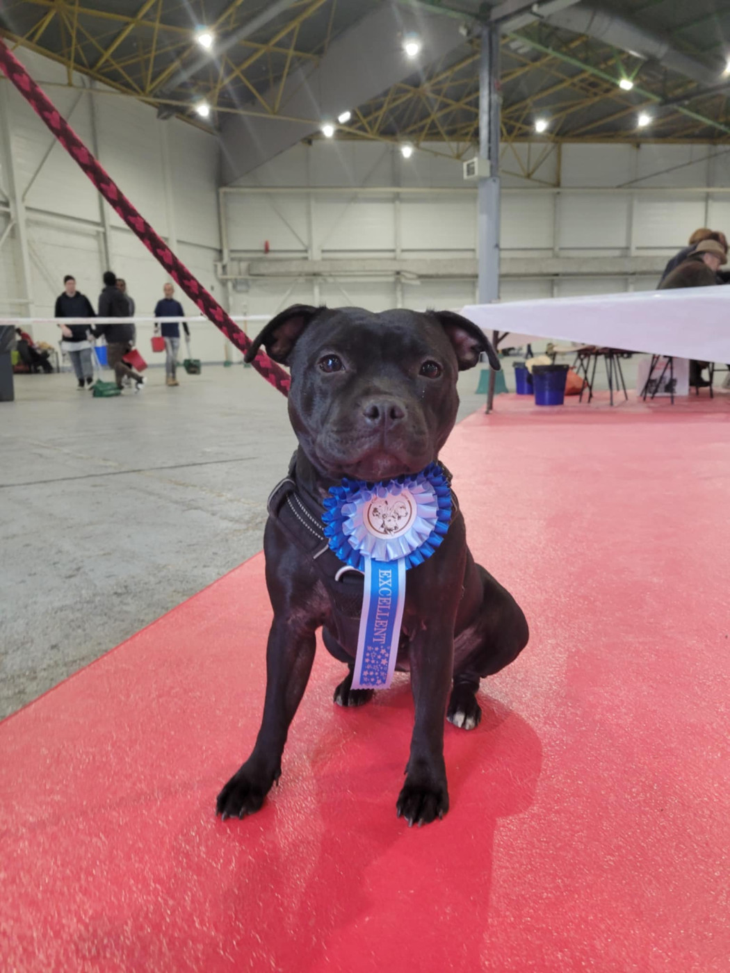 Update My Heart de la Roche de l'Empereur